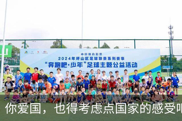 你爱国，也得考虑点国家的感受吧？