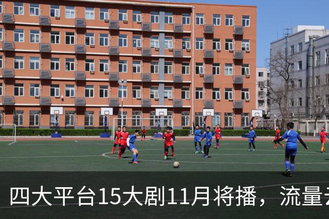 四大平台15大剧11月将播，流量云集，哪部有爆款潜力？